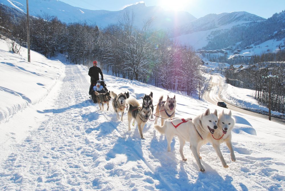 Chiens de traîneau à Valmorel l'hiver, station de Savoie Mont-Blanc