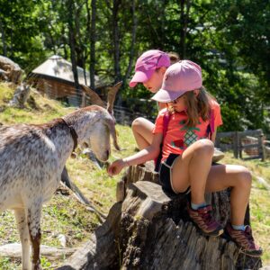 Valmorel Ferme ValmoBourricot HD ©Office de tourisme Valmorel 38