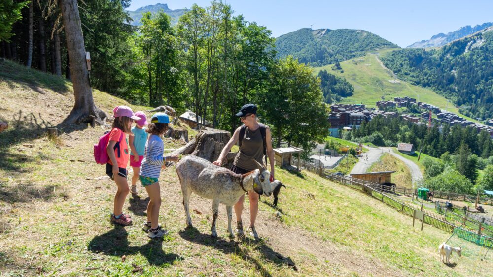 Valmorel Ferme ValmoBourricot HD ©Office de tourisme Valmorel 55