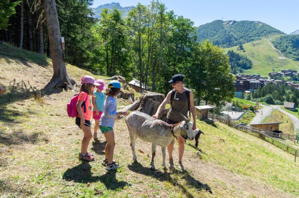 Valmorel Ferme ValmoBourricot HD ©Office de tourisme Valmorel 55 scaled e1713363777927