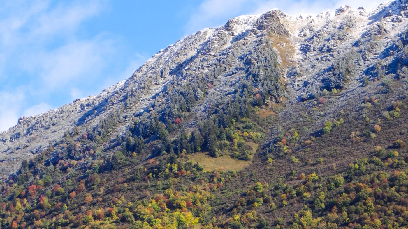 Automne 2021 21
